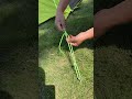 Wow the best knot for camping