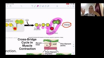 KUNI Bio 101 Chapter 6