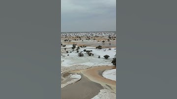 سورة العلق بصوت القارئ الشيخ الشامي محمد الفقيه برواية حفص عن عاصم