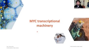 Breaking the Hi-C Resolution Barrier​: Micro-C enables chromatin conformation capture at the nuc...
