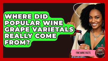 Where Did Popular Wine Grape Varietals Really Come From? - Fine Wine Facts