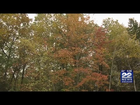 Impact of drought
