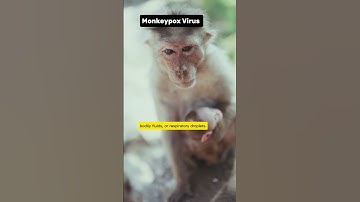 Monkeypox Explained: What You Need to Know About the Global Outbreak #monkeypoxvaccine#monkeypoxnews