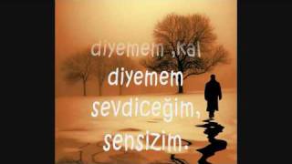 Sensizim (Cartel_95 (Alpay))