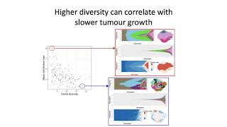 When, why and how tumour clonal diversity predicts survival