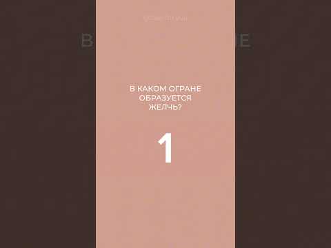 💡А ты ответишь на 5 этих вопросов? #загадки #задачка #квиз #школьныевопросы #загадка