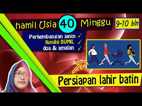 Video: 40 Minggu Kehamilan: Sensasi, Perkembangan Janin