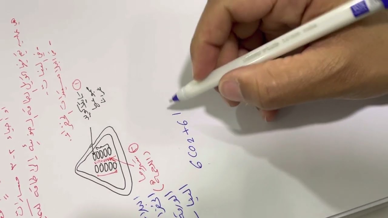 عملية البناء الضوئي