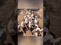 That one dramatic friend in every squad 🦆