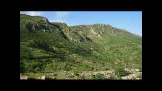 Mihemed Arif Cizîrî - Ciranê Yar Ciranê