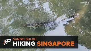 [Hiking Singapore] Sungei Buloh Wetland Reserve (2 Crocodiles Spotted)
