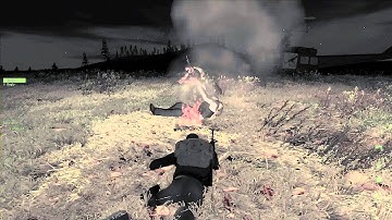 Roasting Nuts on a Fire