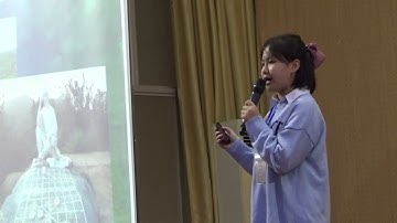 Hùng biện tiếng Anh TP Hải Dương - Nguyễn Phương Anh   Lớp 8K   THCS Võ Thị Sáu