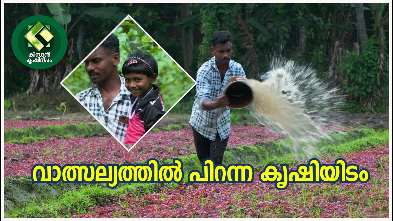 Kissan Krishideepam Episode-1135 A farm born of affection