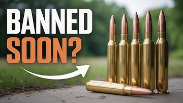 Banned or Restricted? 5 Hunting Calibers the Government Wants Gone