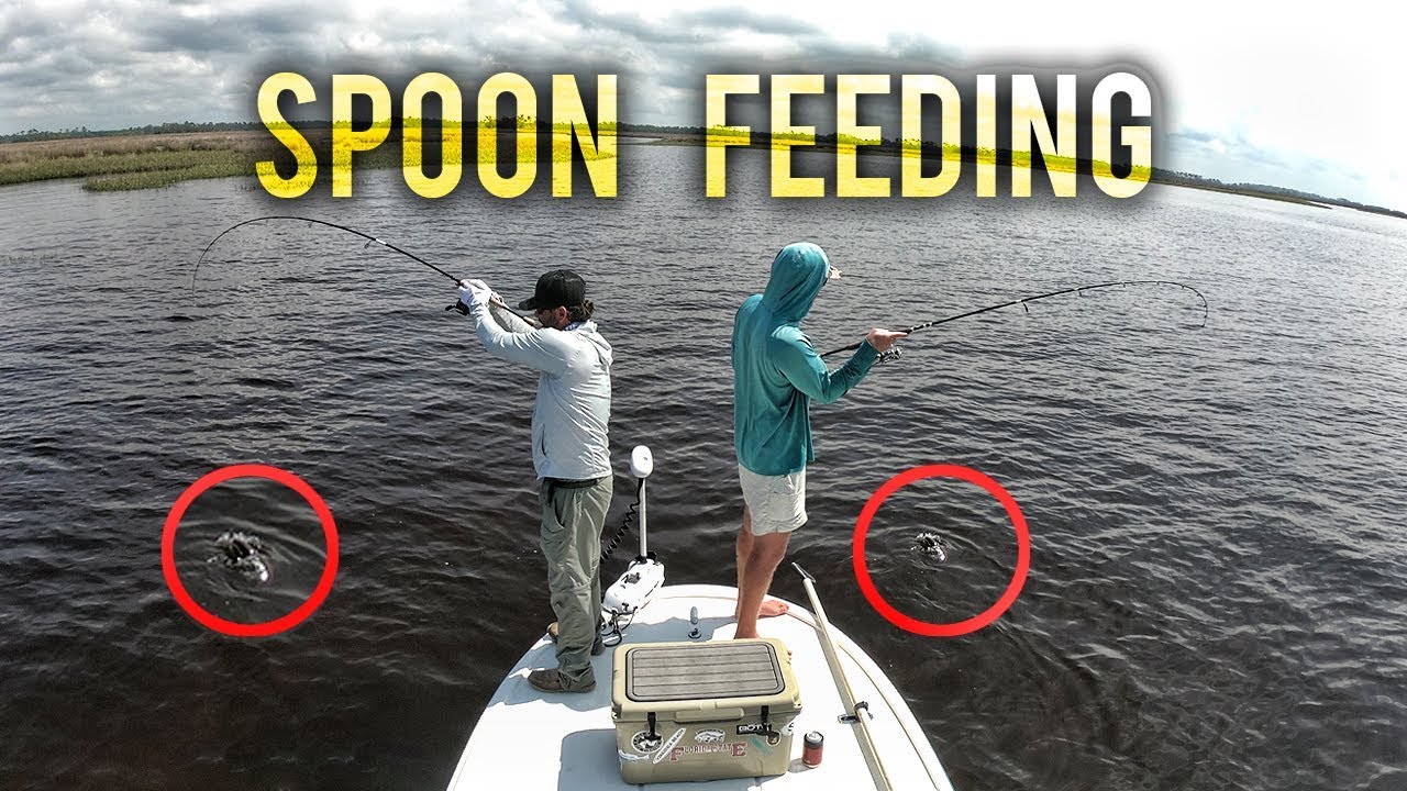 SPOON FEEDING Catching SLOT Red Fish On SPOONS YouTube