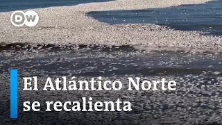 El calentamiento de los océanos anuncia olas de calor en todo el mundo