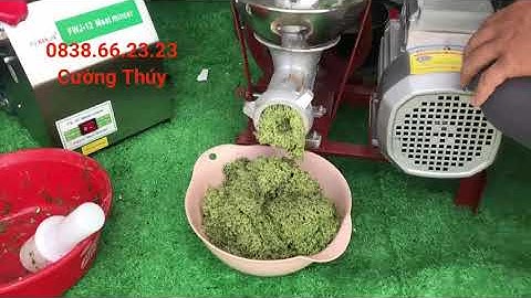 🆕 máy xay chả cá gia đình ▶ máy xay cá nguyên con làm chả Video trung thực