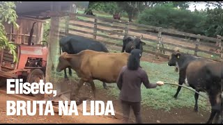 A BRUTA DONA ELISETE NA LIDA DE GADO | Parte 1 | FRANCA-SP