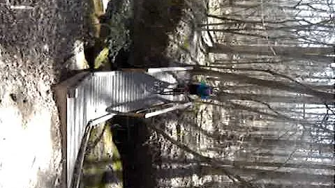 Roger Gaskins Crossing Old Bridge @ RTP Trails