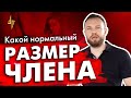 Какой нормальный размер члена? Сколько сантиметров нужно для счастья?