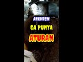 TRUS AKU KUDU PIYE..?? APA YANG HARUS SAYA LAKUKAN..?? #shorts