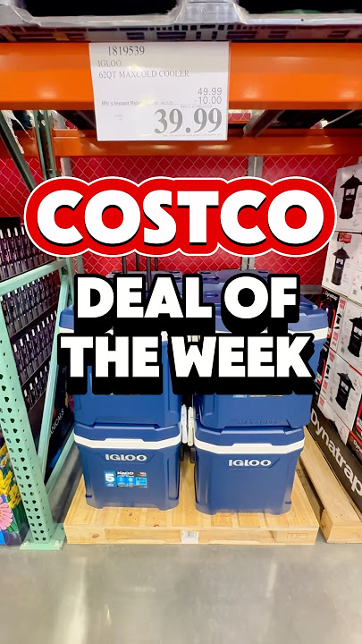 INSANE Costco Deal! IGLOO 62QT MaxCold Cooler Only $39.99! 🔥 #costcofinds