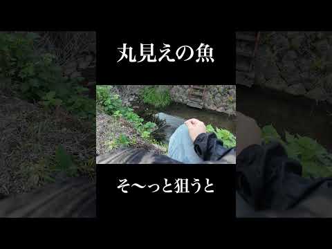 そーっと狙うと