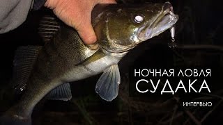 Ночная ловля судака в Киеве.