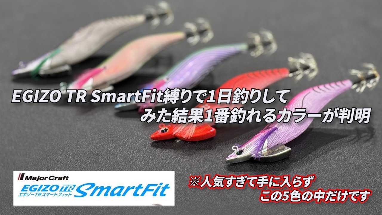 Vol.151【ティップランエギング】エギゾーTRスマートフィット縛りで釣りしてみた結果...