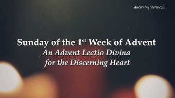 Sunday of the 1st Week of Advent - An Advent Lectio Divina for the Discerning Heart