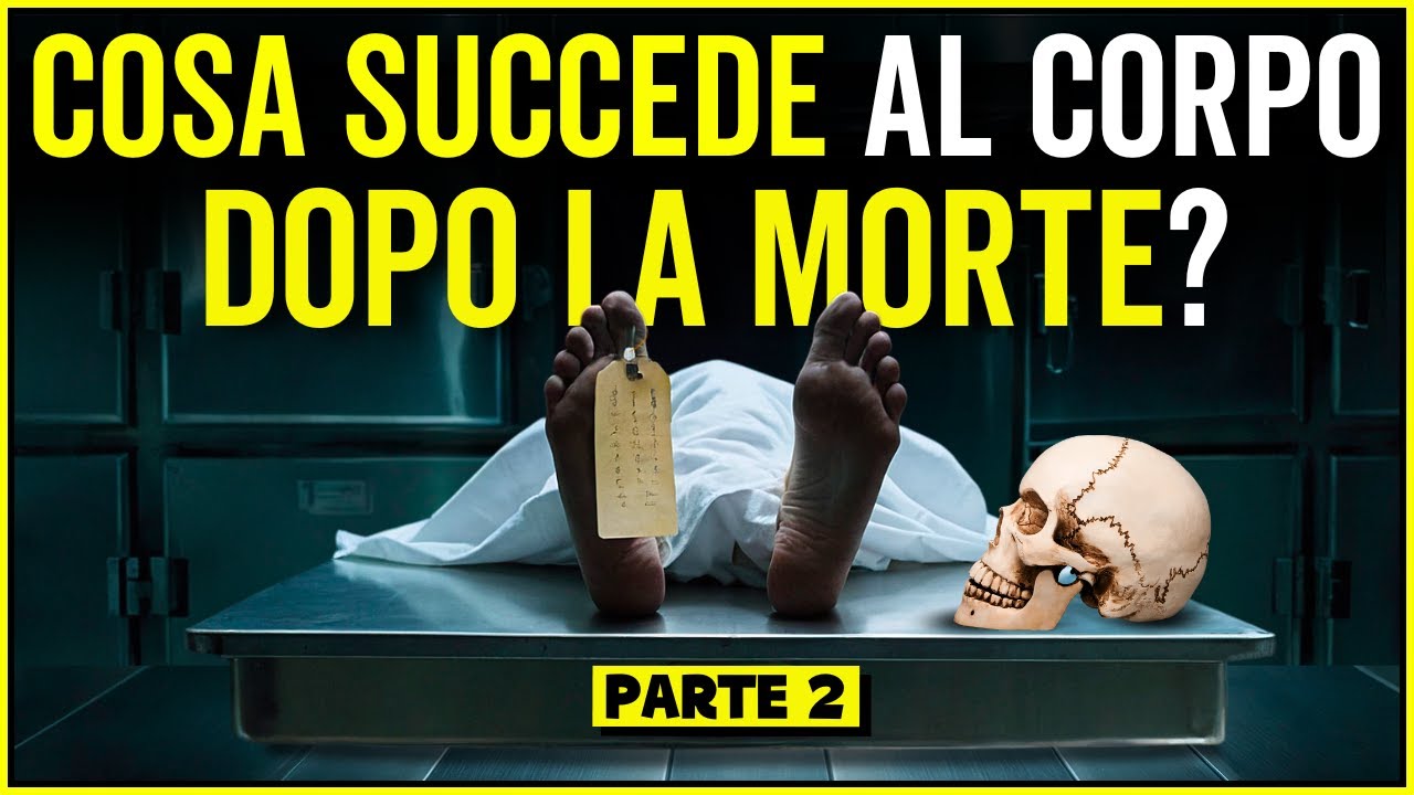 Cosa Succede Dopo La Morte? Cosa Succede Al Corpo Umano Quando Muori