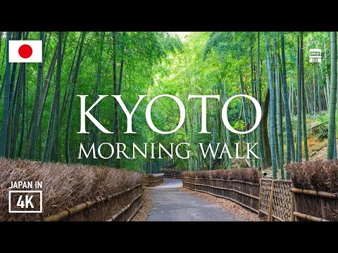 Kyoto's Bamboo Forest