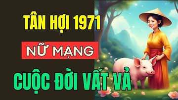Cuộc Đời Vất vả, Tuổi Tân Hợi Sinh năm 1971, Nữ Mạng. Một Kiếp Người trong cõi nhân sinh.