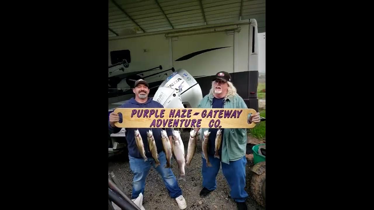 amazing rainbow trout fishing lake tulloch 