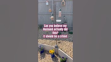 How To Turn Your Garden Into A Birds Paradise