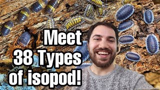 ISOPOD COLLECTION TOUR | FEBRUARY 2020