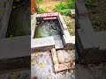 RUKO JARA AUR VIDEO LAST TAK DEKHO #ytshorts #speaker #jblhardbass #alightmotion #soundeffects