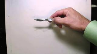 potato cells prep.avi