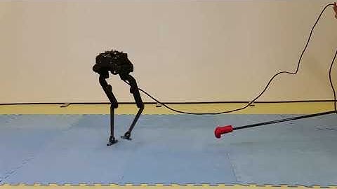 A set of new tests on Bolt.