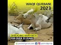 WhatsApp Video 2023 06 06 at 11 55 08 PM