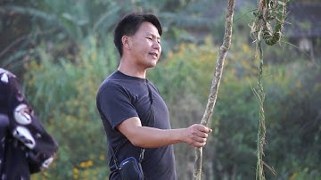 Saib Hmoob Mumphee noj 30 nkaum toj qaib 18/11/2017-2018