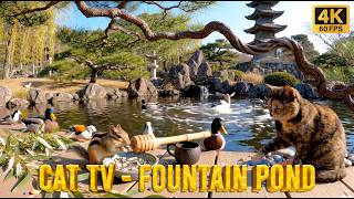 Cat TV 8 Hours 🏯 Zen Stone Pagoda & Water Fountain - Chipmunk & Birds