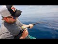 Epic offshore fishing trip in the gulf  we found mahi