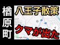 クマが出た楢原町を散策!【東京都八王子市】