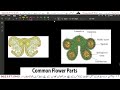 Lecture 6 | Chapter 1 | Reproduction in Plant |Class 12 Urdu medium Biology | For 2023 - 2024