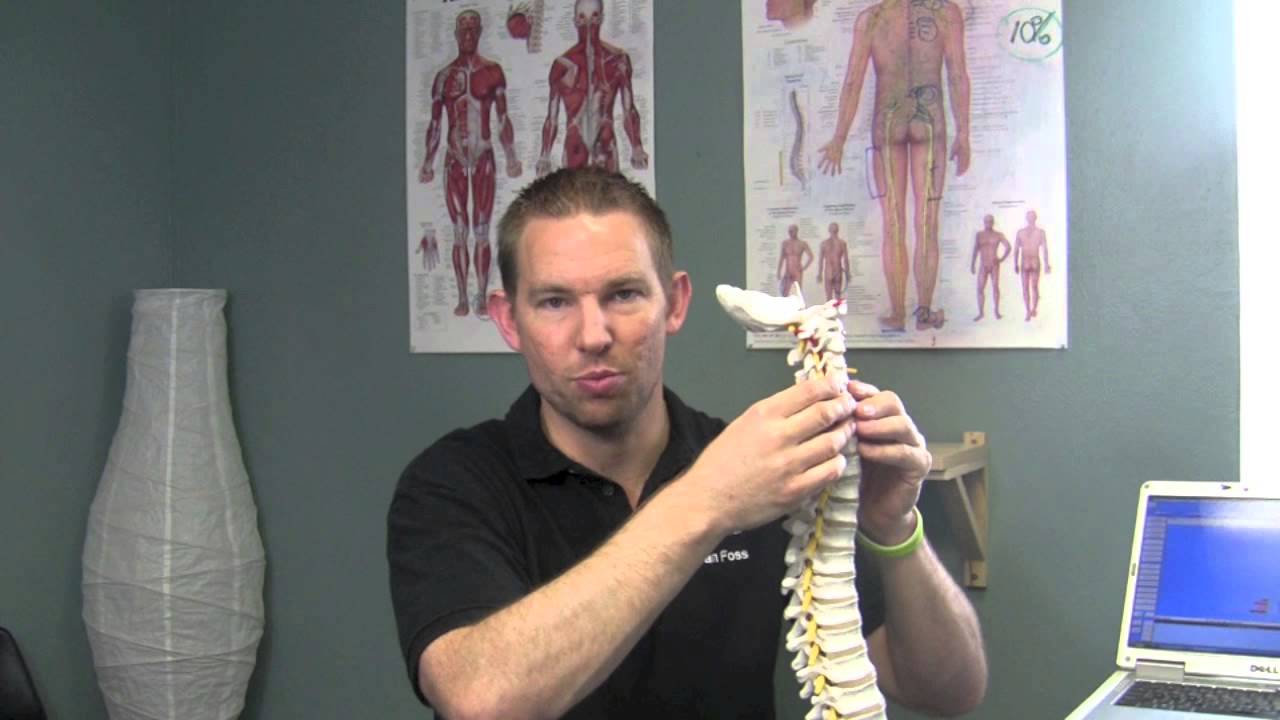 Pura Vida Chiropractic - Lyme Disease - San Antonio ...