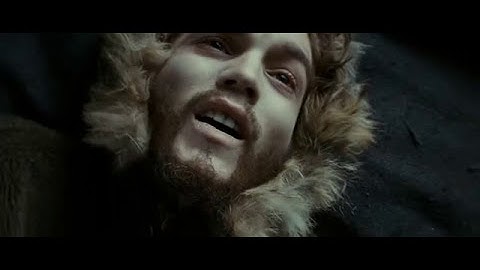 Into The Wild (2007) - Ending "Happiness Is Only Real When Shared"