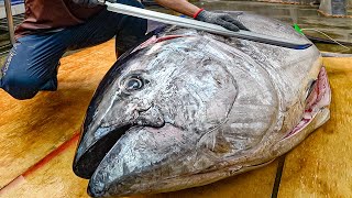 $10,000+ Fish! Satisfying Giant Bluefin Tuna Cutting Skills, Luxurious Sashimi / 黑鮪魚切割技巧, 金三角生魚片