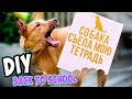 DIY ♥ 6 КРУТЫХ ОБЛОЖЕК ДЛЯ ТЕТРАДЕЙ ♥ Back to school ♥ Канцелярия НА БЮДЖЕТЕ